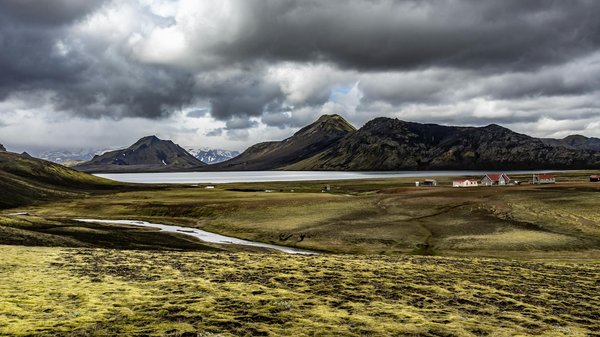 L'incroyable aventure de la virologie à travers le temps : Un périple captivant à ne pas manquer